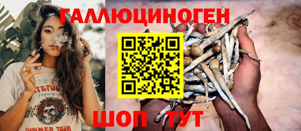 Галлюциногенные грибы мухоморы  Вход с VPN  Гусь-Хрустальный 